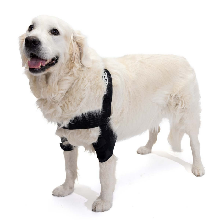 Elleboogorthese voor honden met artrose Revalidatie Canina