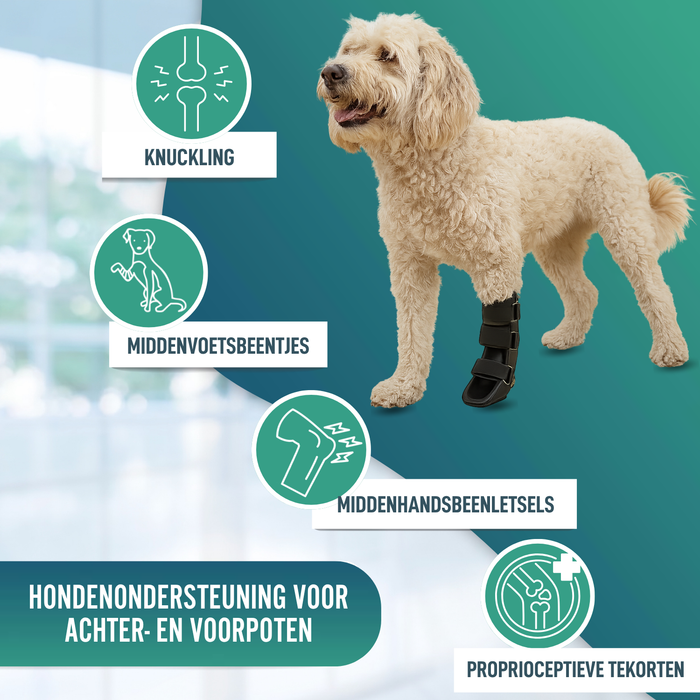 Korte Botspalk voor Honden met Knuckling | 5 Maten
