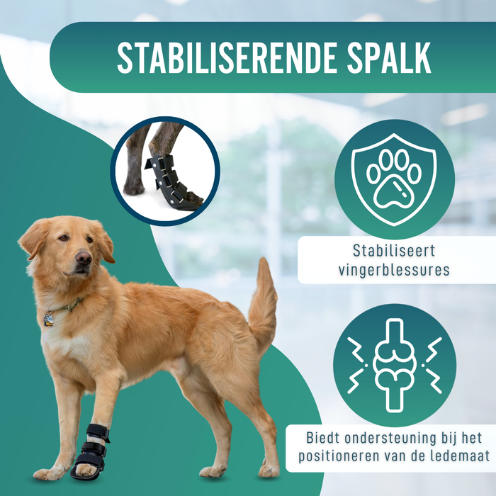 Korte Botspalk voor Honden met Knuckling | 5 Maten
