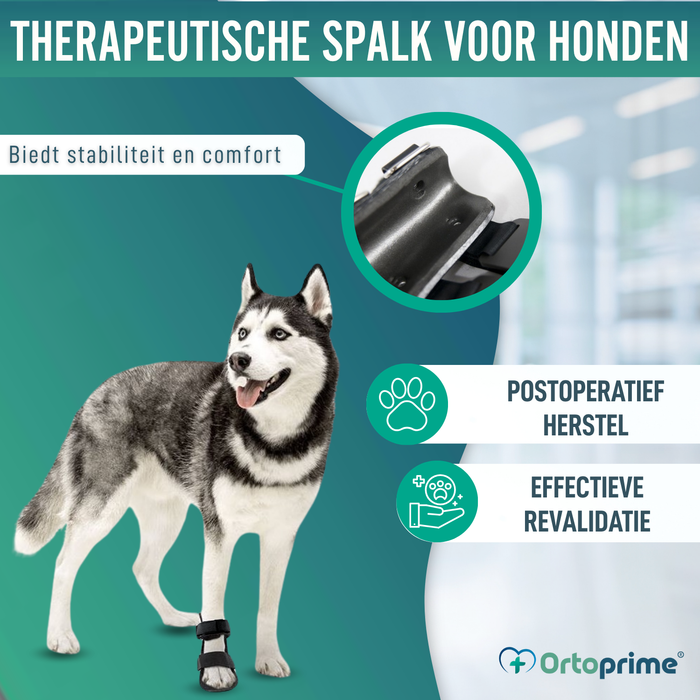 Korte Botspalk voor Honden met Knuckling | 5 Maten