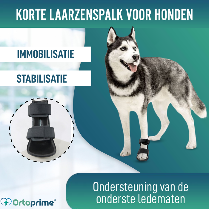 Korte Botspalk voor Honden met Knuckling | 5 Maten