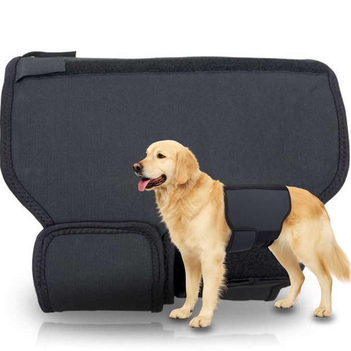 Hond Thermische Ondersteuning Back on Track | Rugbandage