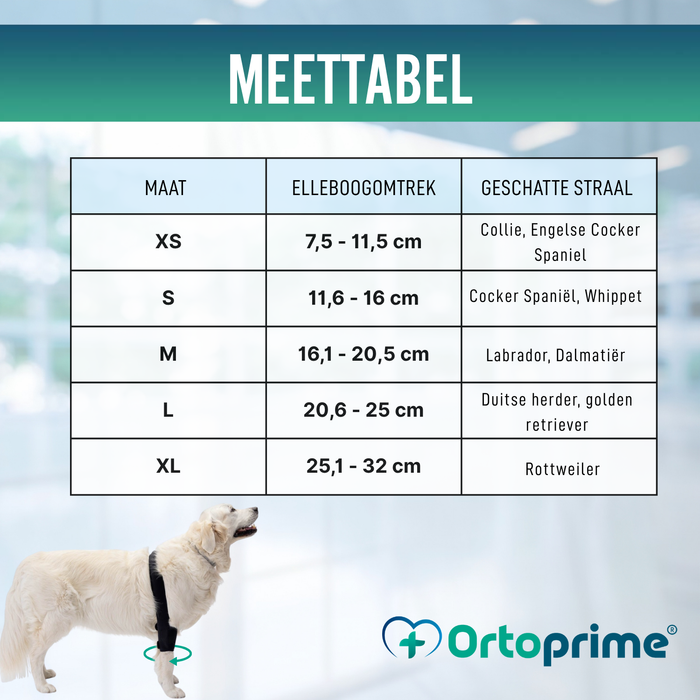 Elleboogorthese voor honden met artrose Revalidatie Canina
