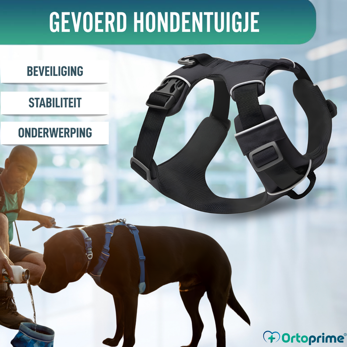 Gewatteerd Hondentuig voor Dagelijks Gebruik | Dubbele Bevestiging