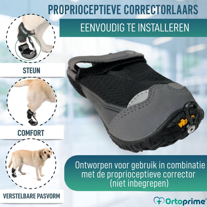 Schoen voor Canine Proprioceptieve Corrector | Rubberen Zool
