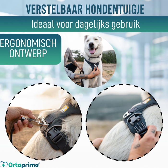 Gewatteerd Hondentuig voor Dagelijks Gebruik | Dubbele Bevestiging