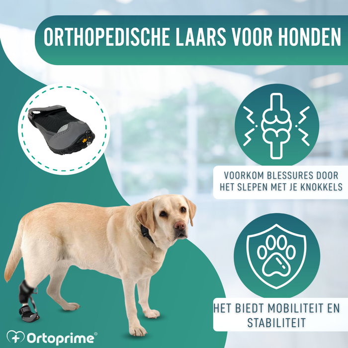 Schoen voor Canine Proprioceptieve Corrector | Rubberen Zool