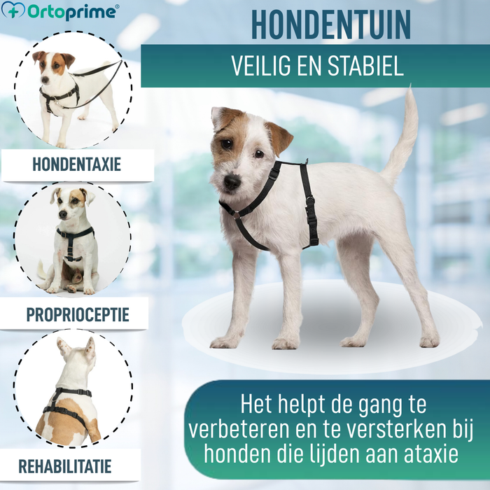 Hondentuig voor Neurologische Revalidatie | 5 Maten