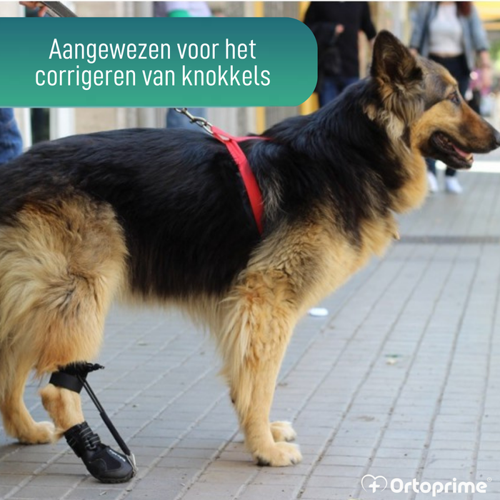 Schoen voor Canine Proprioceptieve Corrector | Rubberen Zool