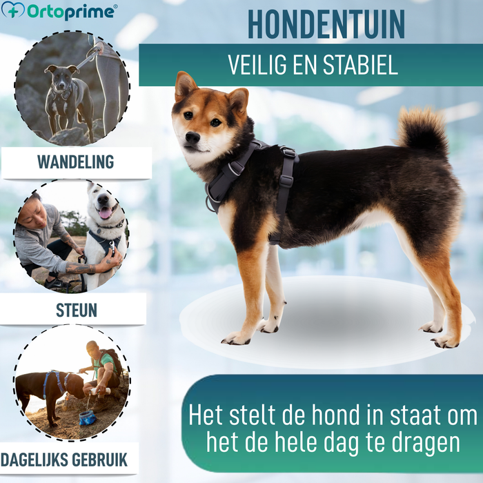 Gewatteerd Hondentuig voor Dagelijks Gebruik | Dubbele Bevestiging