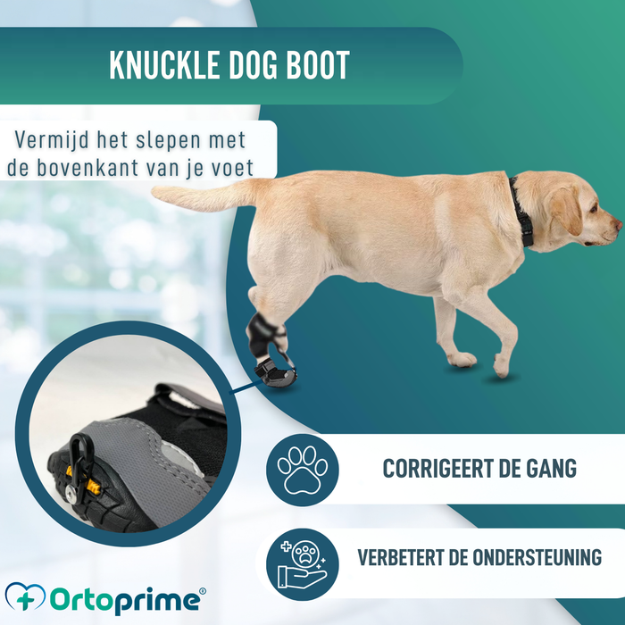 Schoen voor Canine Proprioceptieve Corrector | Rubberen Zool