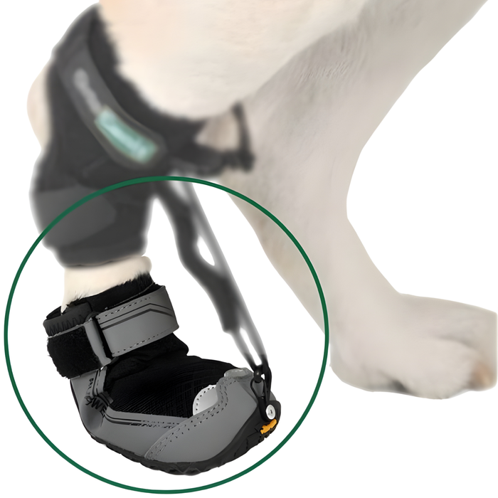 Schoen voor Canine Proprioceptieve Corrector | Rubberen Zool