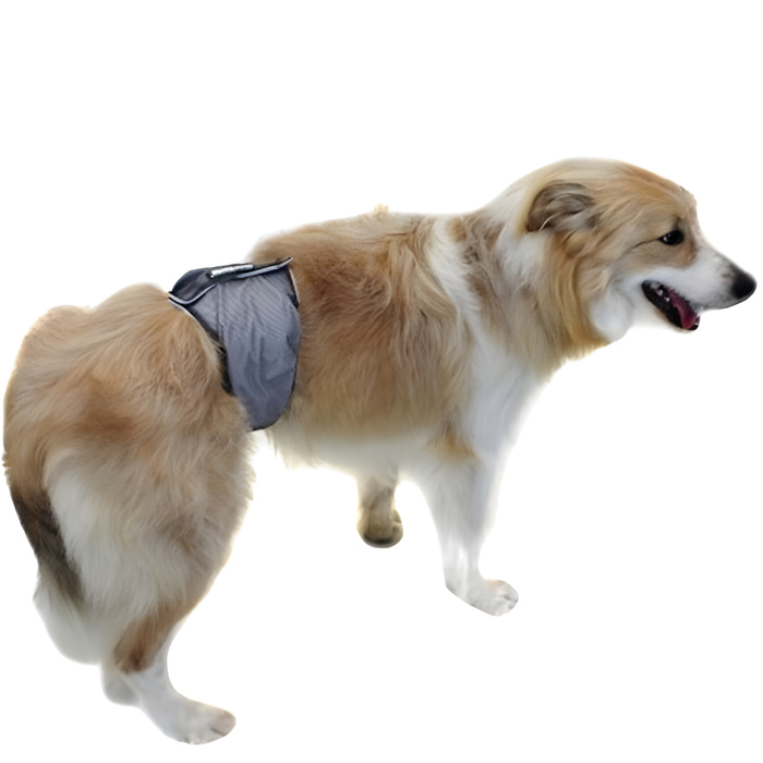 Anti-lekband voor Incontinentie bij Honden | Mannelijke Hond