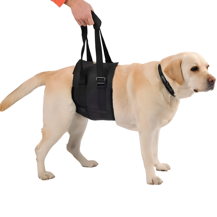 Hulpsling voor Honden met Beperkte Mobiliteit | 5 Maten