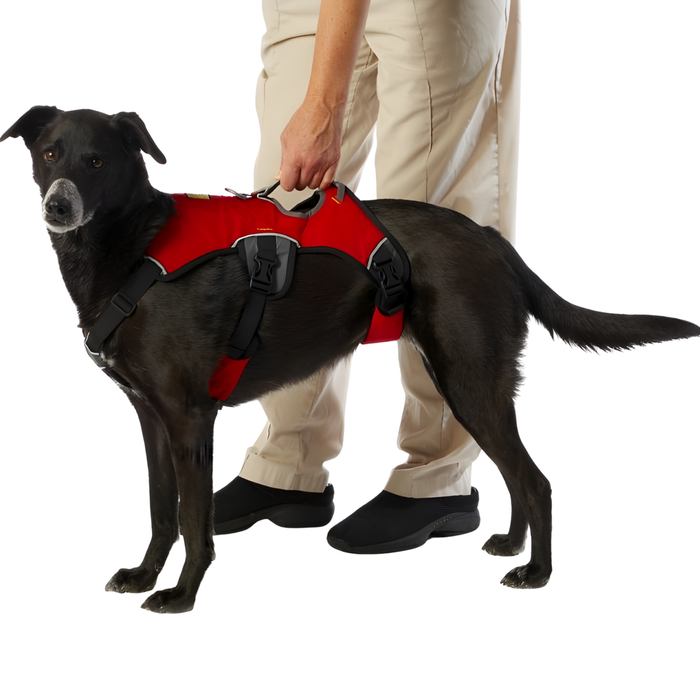 Steunharnas voor Assistentiehonden | 5 Maten