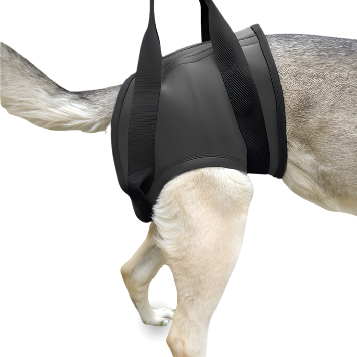Revalidatieharnas voor Honden Achterpoten | 5 Maten