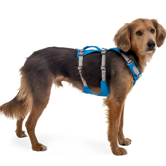 Multifunctioneel Harnas voor Honden | Stevige Structuur