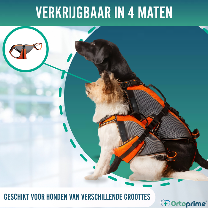 Complete Revalidatieharnas voor Honden | 3D-Materiaal