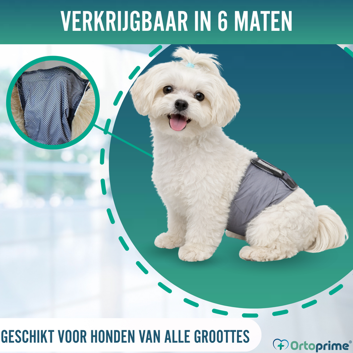 Anti-lekband voor Incontinentie bij Honden | Mannelijke Hond