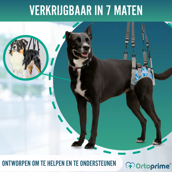 Harnas voor Honden met Verminderde Mobiliteit in Achterpoten