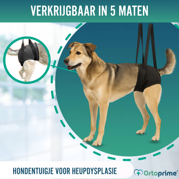 Revalidatieharnas voor Honden Achterpoten | 5 Maten