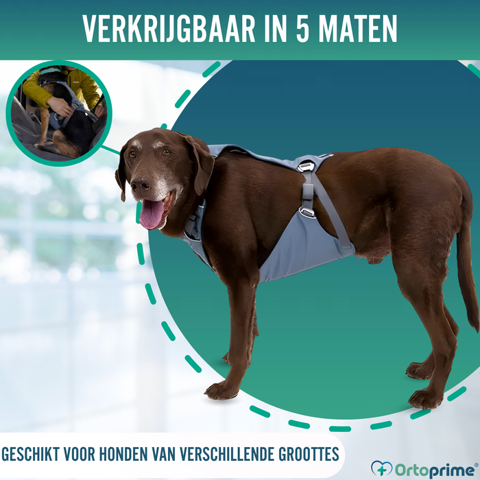 Veiligheidstuig voor Hondentransport | Extra Sterk