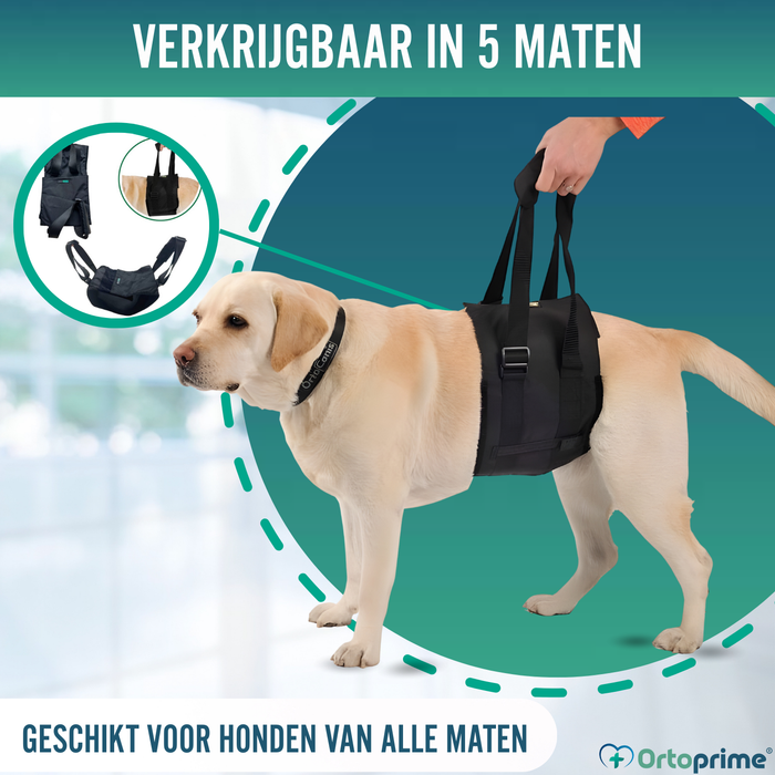 Hulpsling voor Honden met Beperkte Mobiliteit | 5 Maten