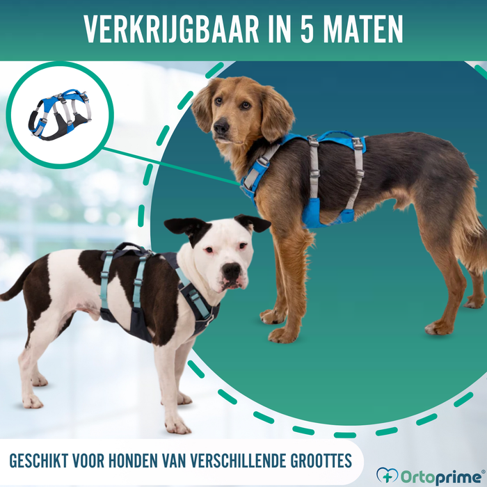 Multifunctioneel Harnas voor Honden | Stevige Structuur