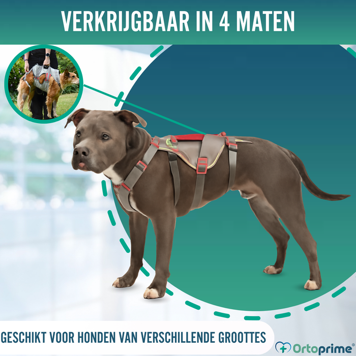 Klimondersteuningsharnas voor Honden | Maximale Sterkte