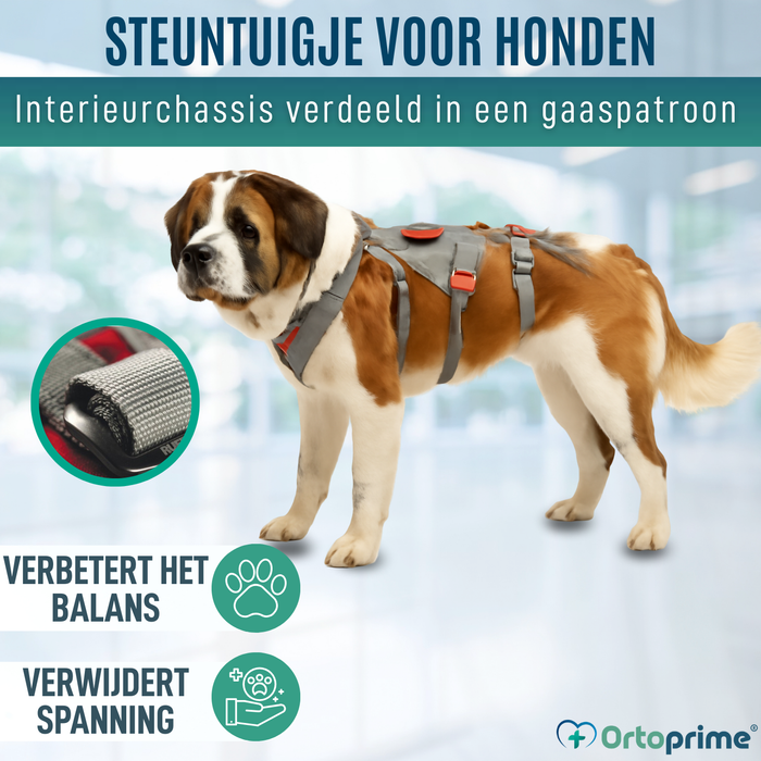 Klimondersteuningsharnas voor Honden | Maximale Sterkte