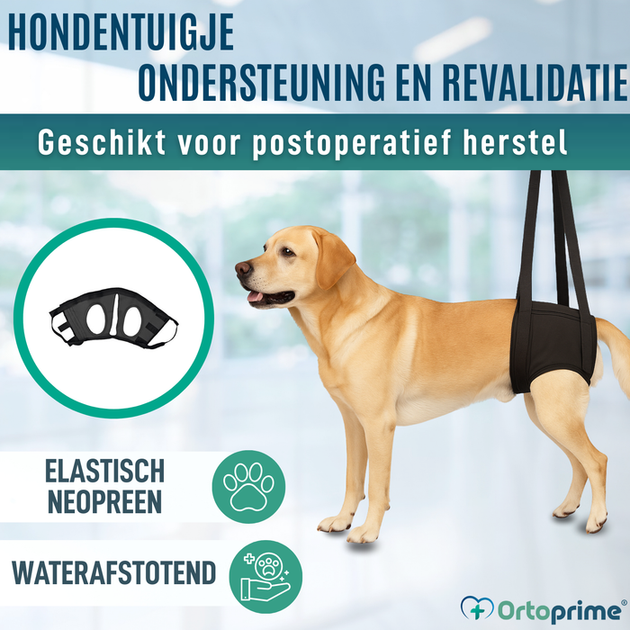 Revalidatieharnas voor Honden Achterpoten | 5 Maten