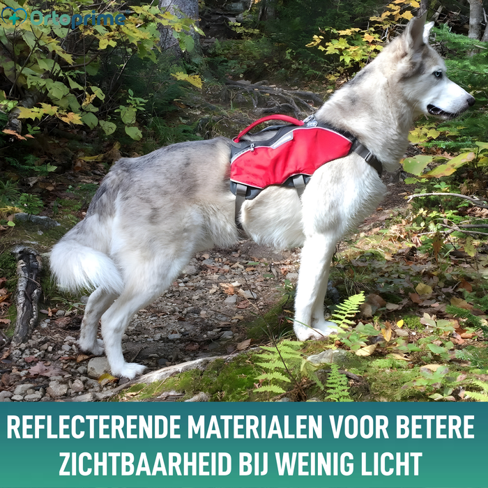 Zoek- en Reddingsharnas voor Honden | Hoge Sterkte