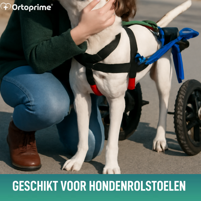 Harnas voor Honden met Verminderde Mobiliteit in Achterpoten