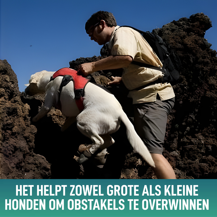 Steunharnas voor Assistentiehonden | 5 Maten