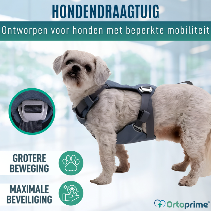 Veiligheidstuig voor Hondentransport | Extra Sterk