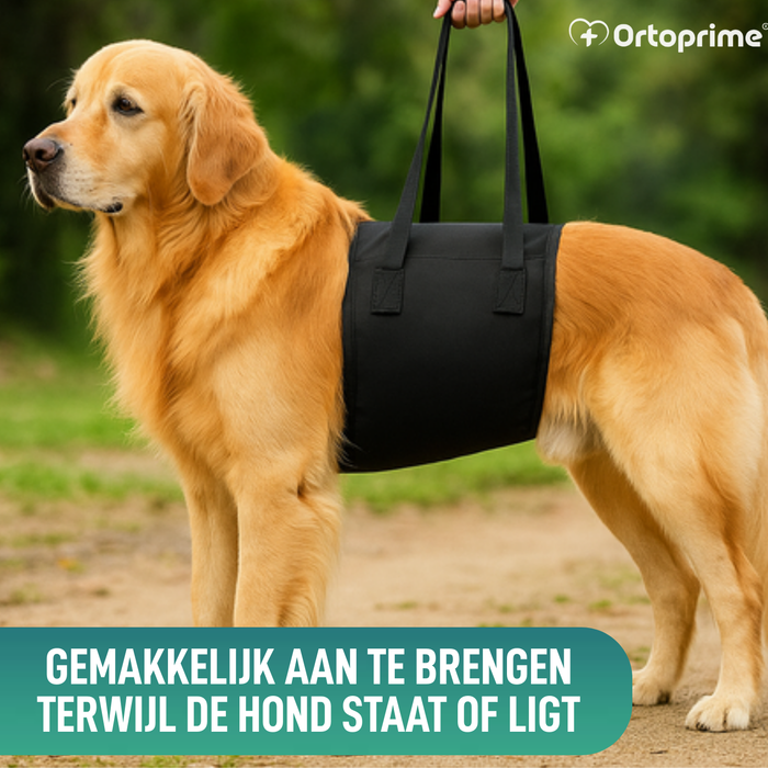 Hulpsling voor Honden met Beperkte Mobiliteit | 5 Maten