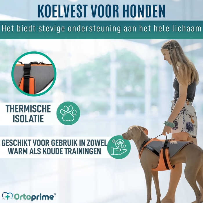 Complete Revalidatieharnas voor Honden | 3D-Materiaal