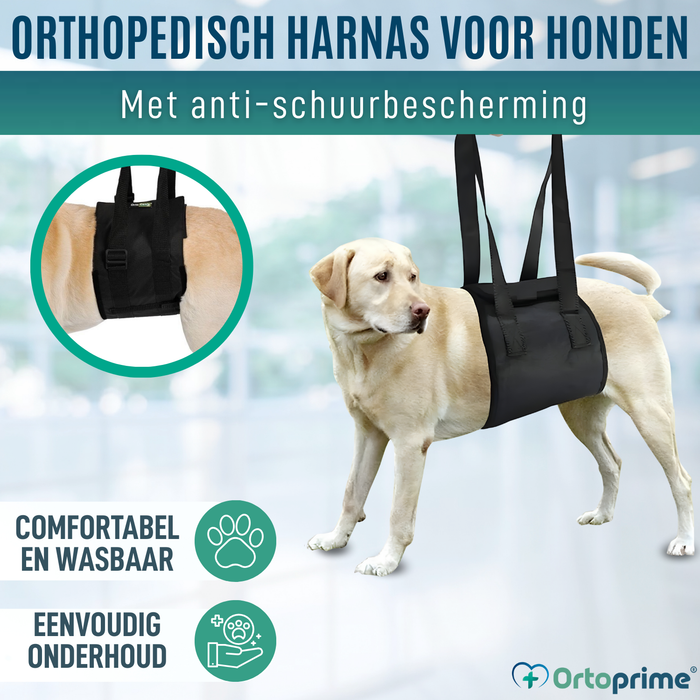 Hulpsling voor Honden met Beperkte Mobiliteit | 5 Maten