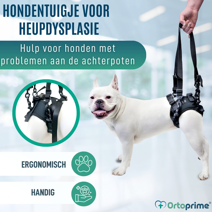Harnas voor Honden met Verminderde Mobiliteit in Achterpoten