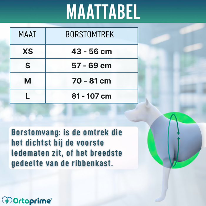 Klimondersteuningsharnas voor Honden | Maximale Sterkte