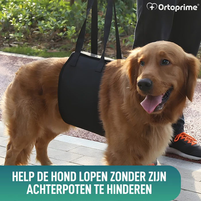 Hulpsling voor Honden met Beperkte Mobiliteit | 5 Maten