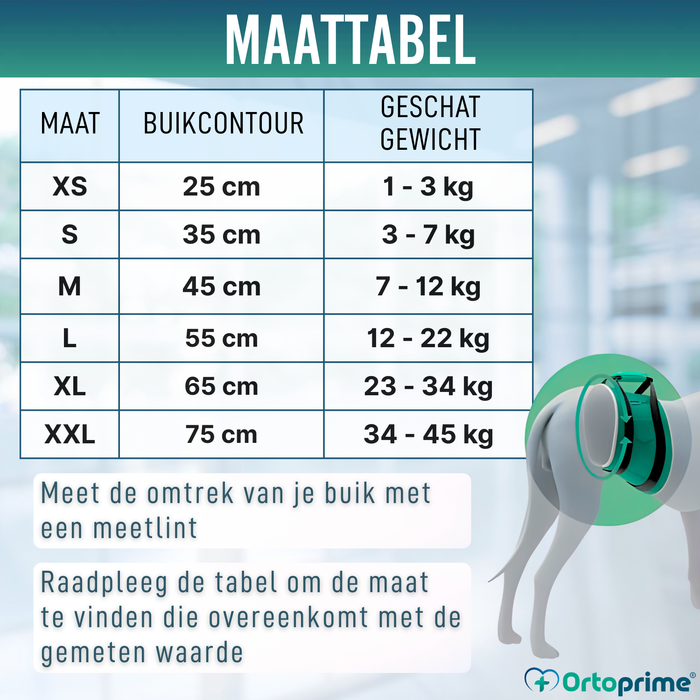 Anti-lekband voor Incontinentie bij Honden | Mannelijke Hond
