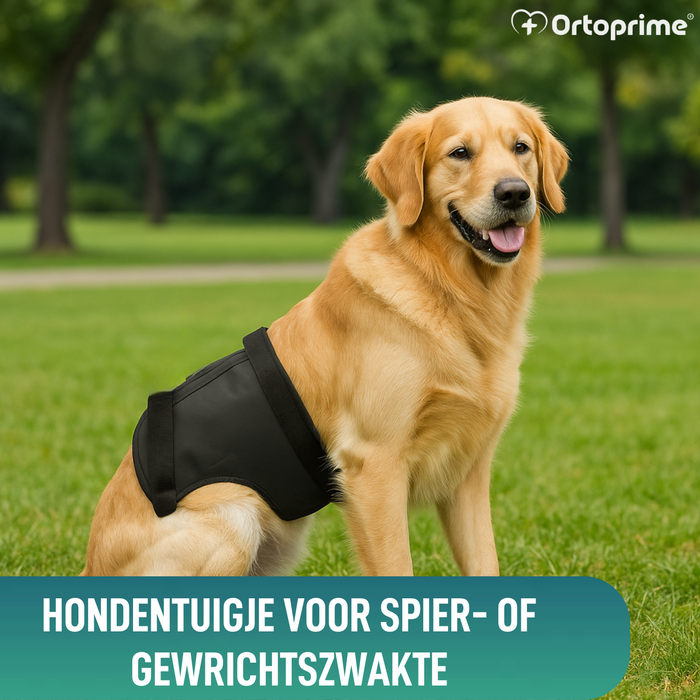 Revalidatieharnas voor Honden Achterpoten | 5 Maten