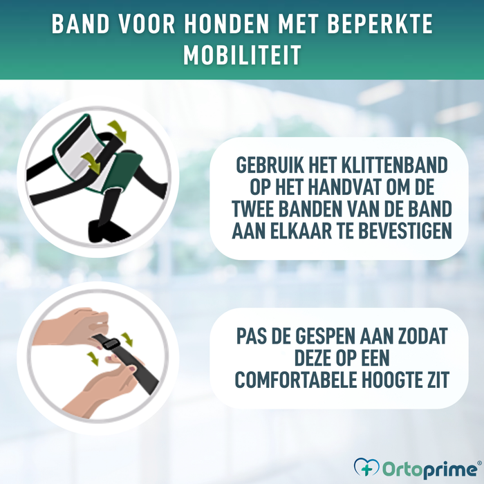 Hulpsling voor Honden met Beperkte Mobiliteit | 5 Maten