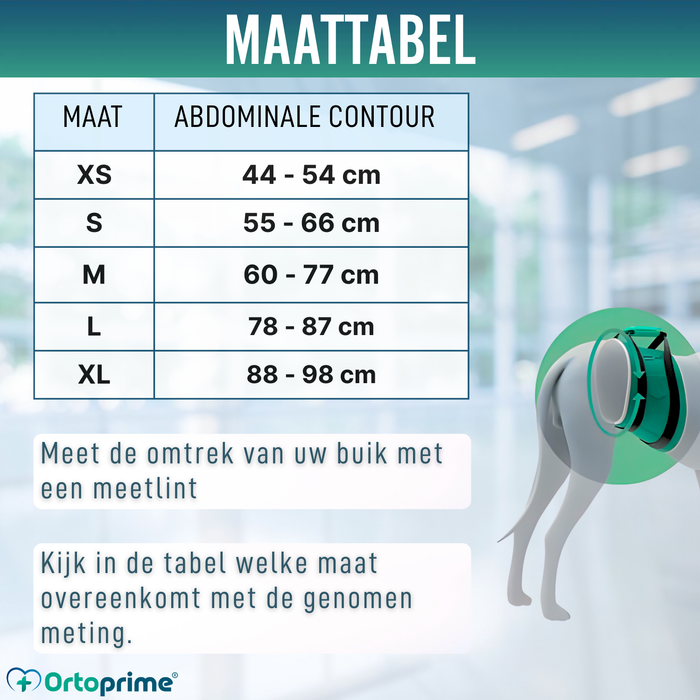 Hulpsling voor Honden met Beperkte Mobiliteit | 5 Maten