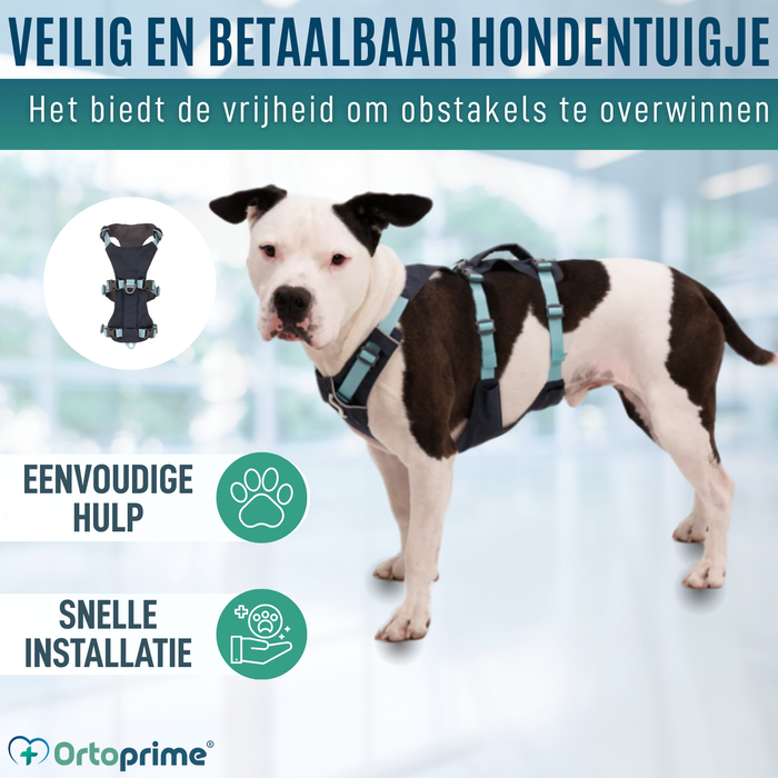 Multifunctioneel Harnas voor Honden | Stevige Structuur