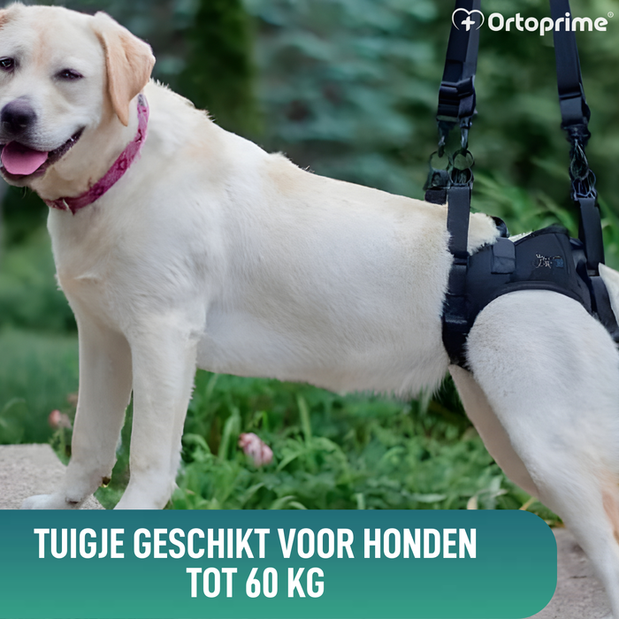 Harnas voor Honden met Verminderde Mobiliteit in Achterpoten