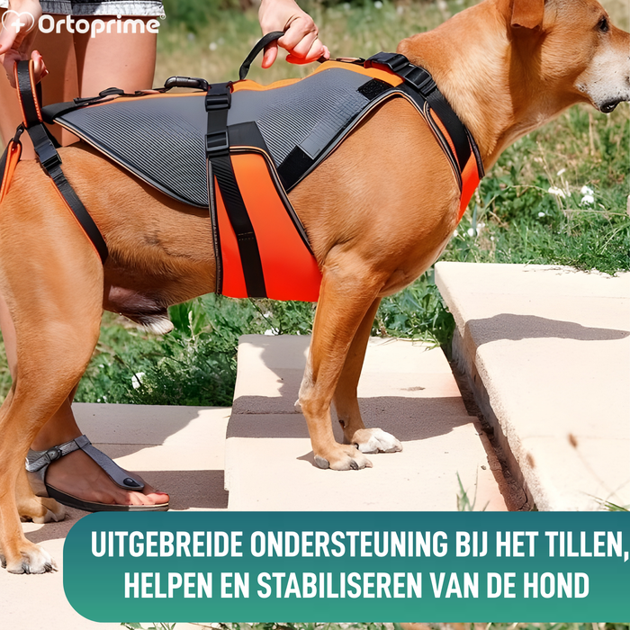 Complete Revalidatieharnas voor Honden | 3D-Materiaal