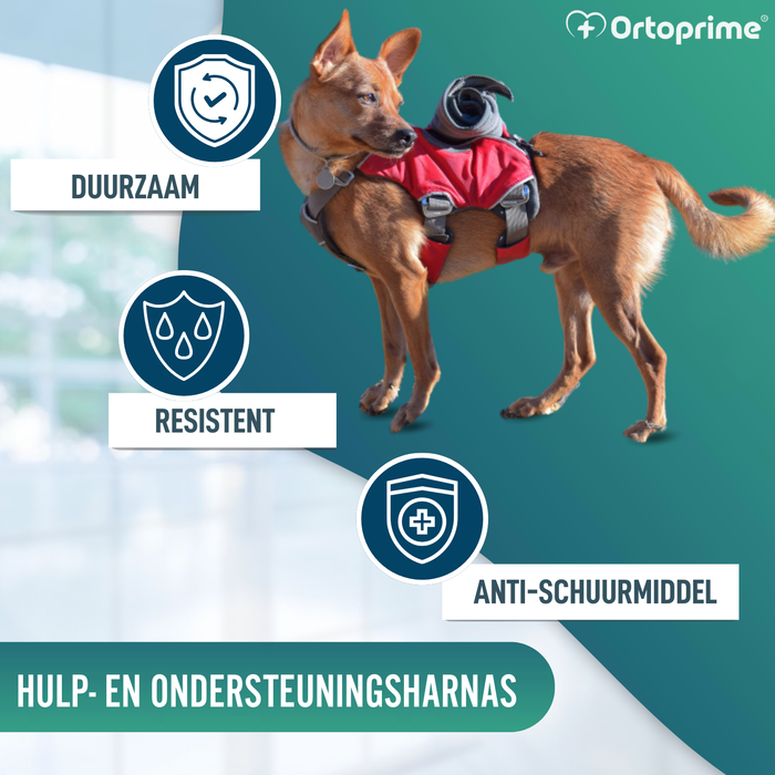 Zoek- en Reddingsharnas voor Honden | Hoge Sterkte