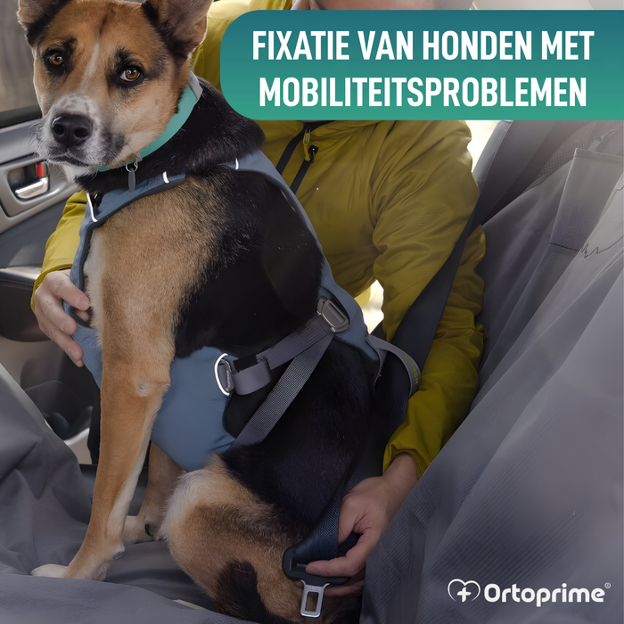 Veiligheidstuig voor Hondentransport | Extra Sterk